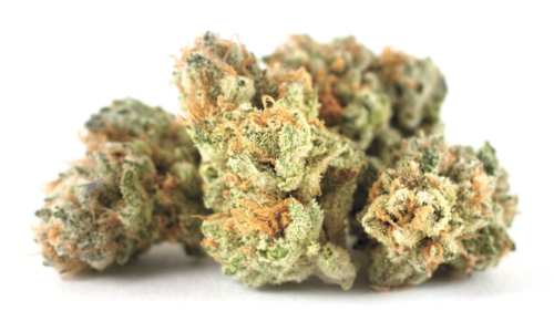  Gifted Curators DC Weed – A Must-Try Cannabis Experience in Washington DC